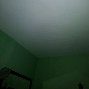 Meet your Posher, Kenny